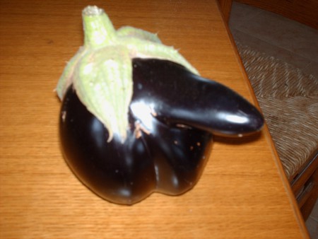 ecco cosa cresce nel nostro orto